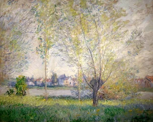 Saules de Vétheuil